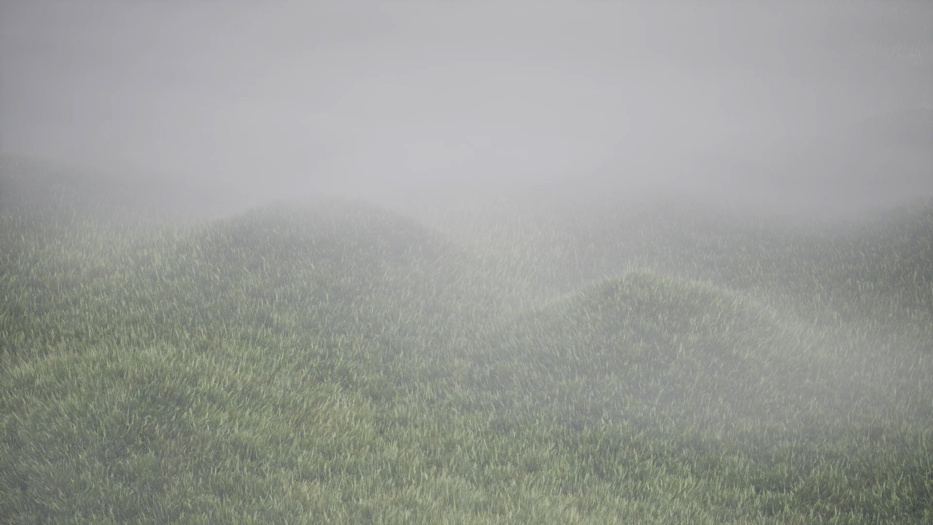 Grassland surface shaped by weather and movement